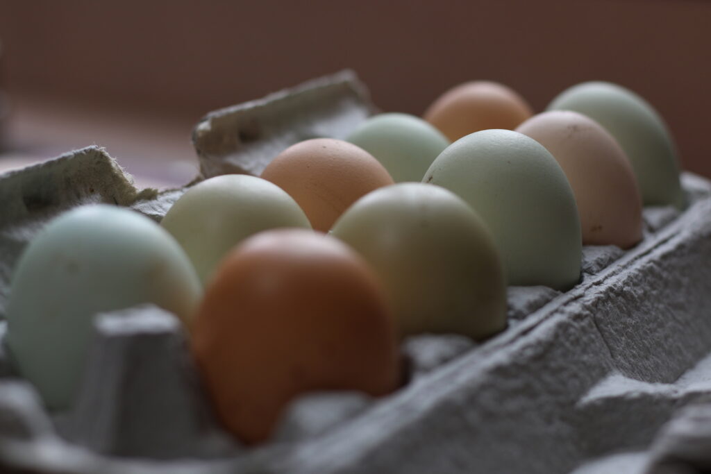 how to stay full in a calorie deficit protein eggs